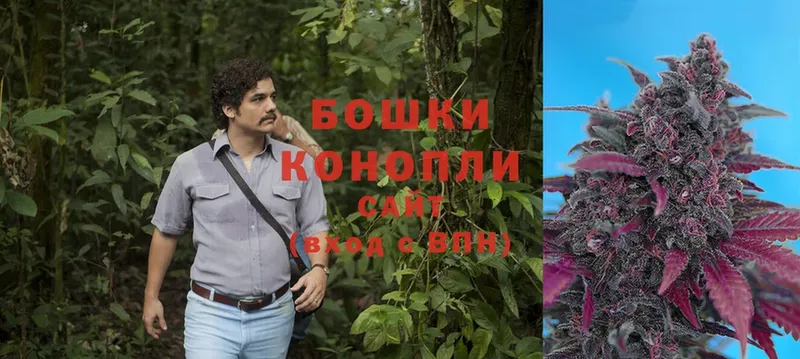 Конопля Bruce Banner  как найти   Зуевка 